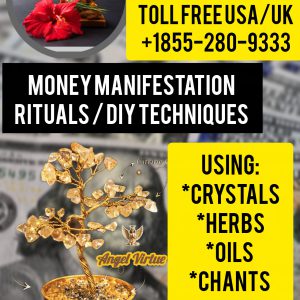 Money Manifestation Techniques , recipes & more